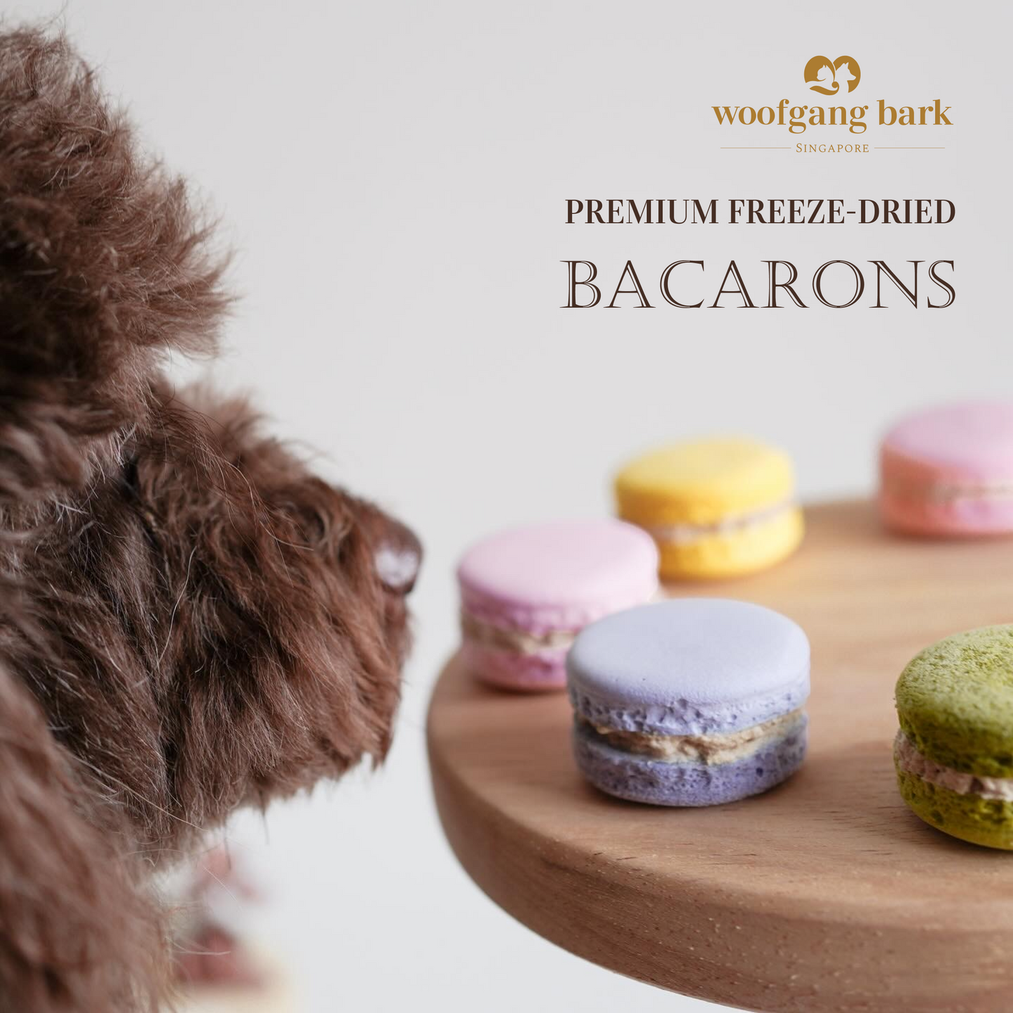 Woofgang Bark - 凍乾寵物馬卡龍 (2件裝)