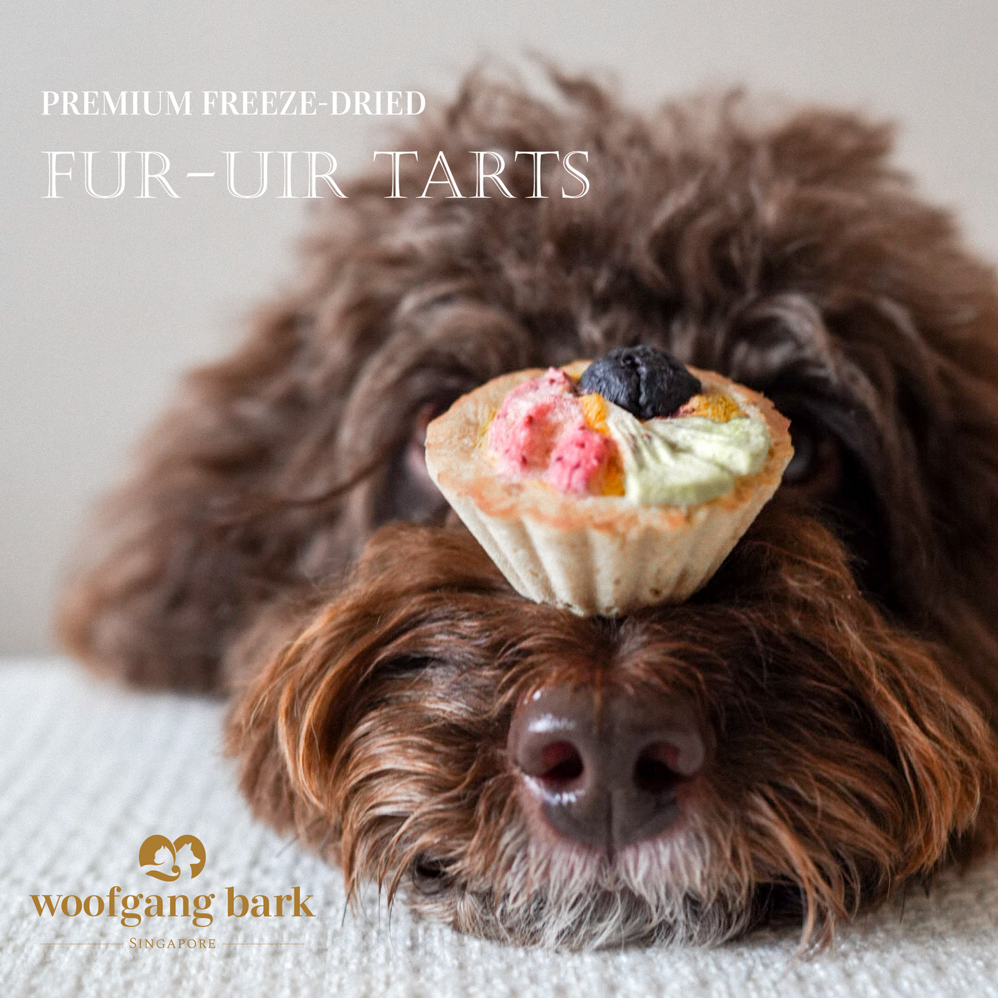 Woofgang Bark - 凍乾寵物水果撻