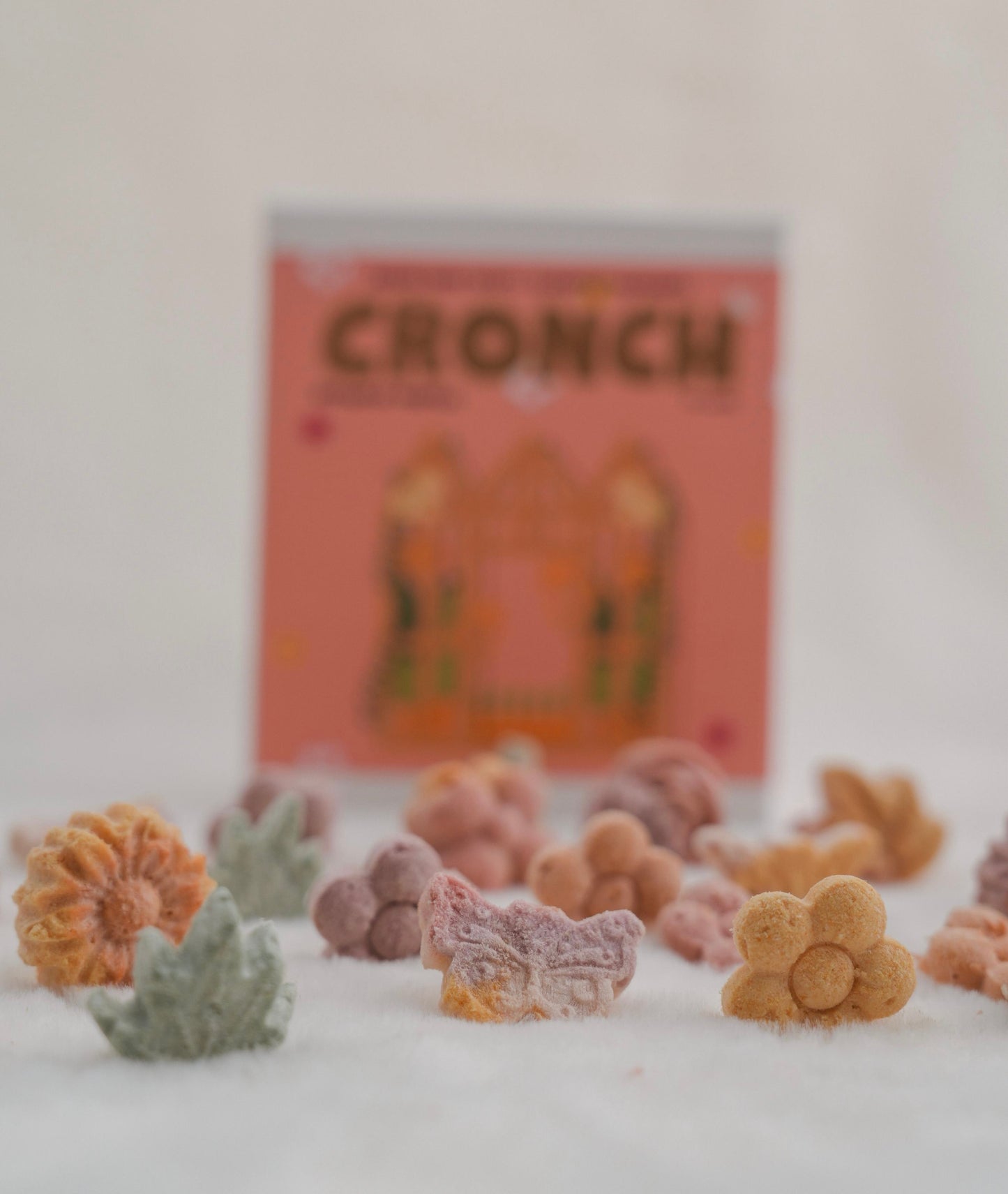 CRONCH by Licked. - 新加坡植物園花花蝴蝶主題凍乾零食