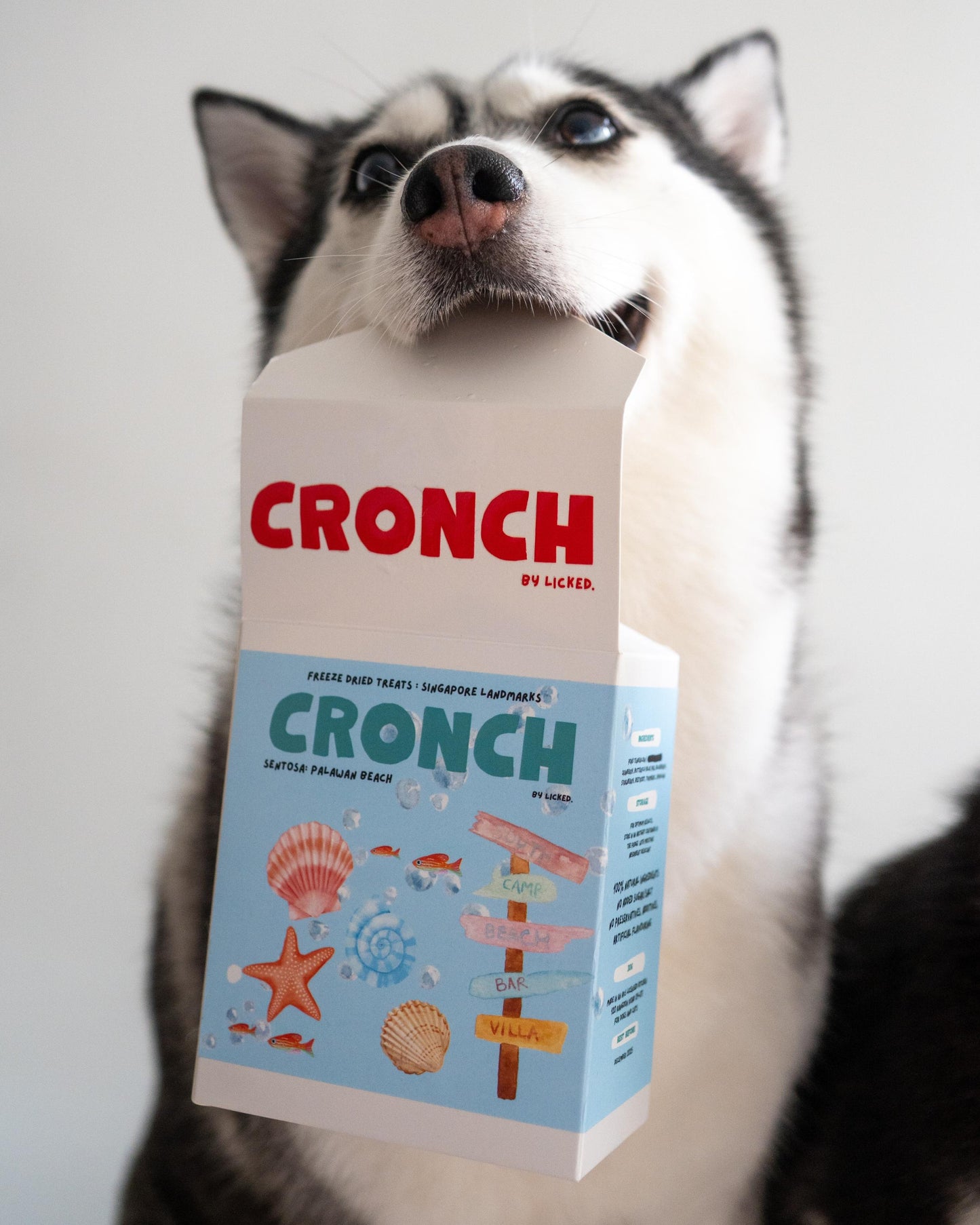 CRONCH by Licked. - 聖淘沙海灘主題 - 貝殼海星造形凍乾零食