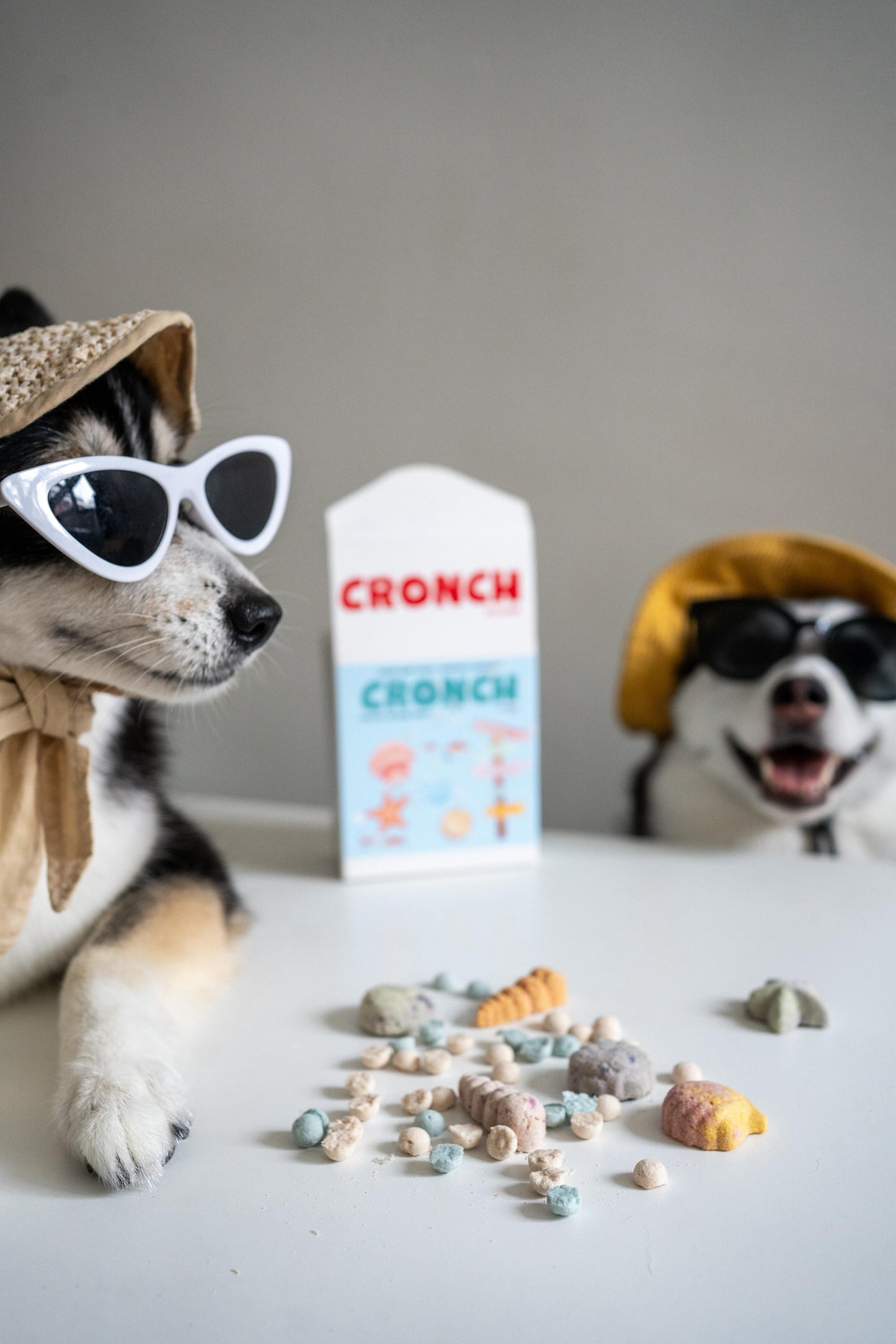 CRONCH by Licked. - 聖淘沙海灘主題 - 貝殼海星造形凍乾零食