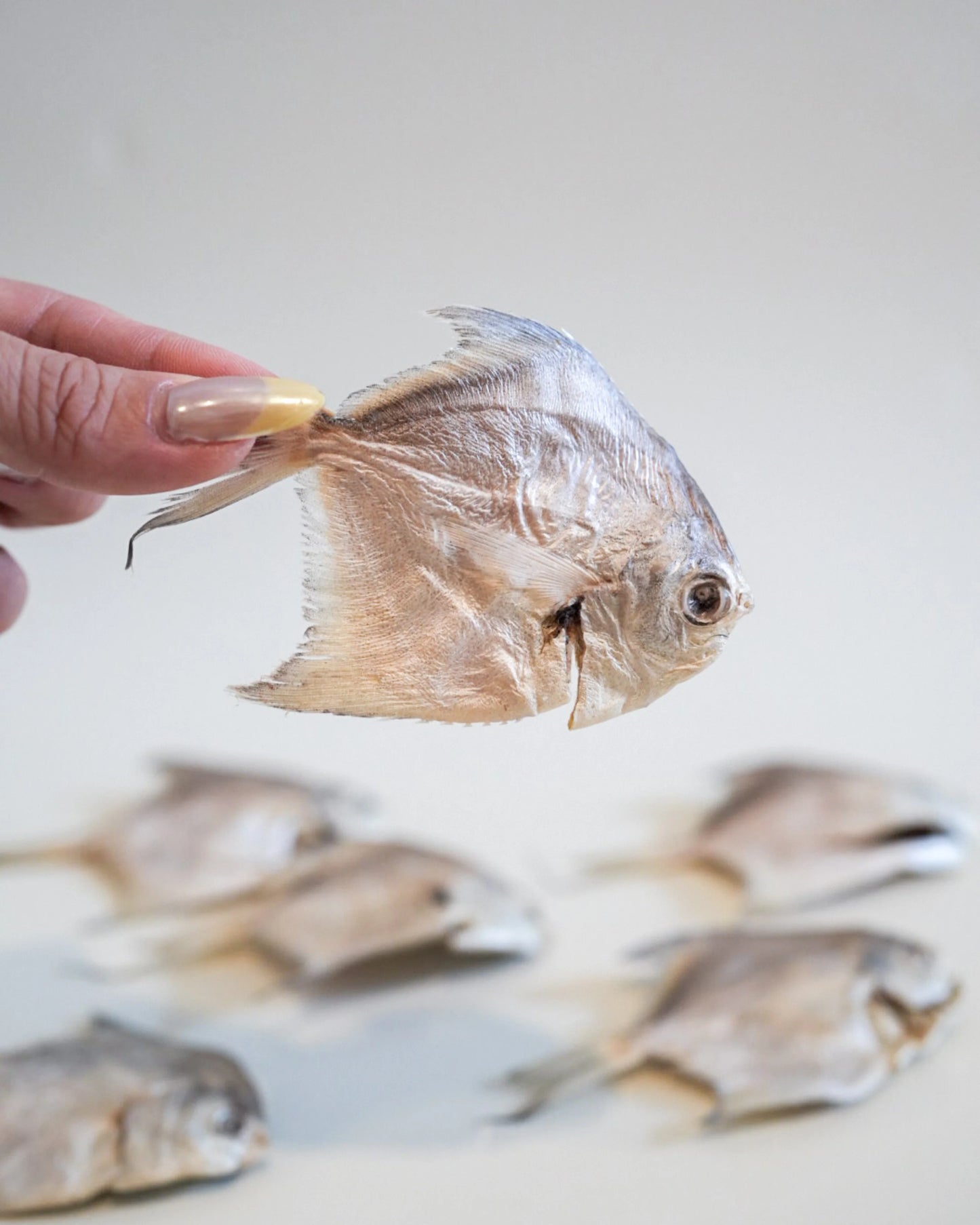 CRONCH by Licked. - Freeze Dried Baby Pomfret