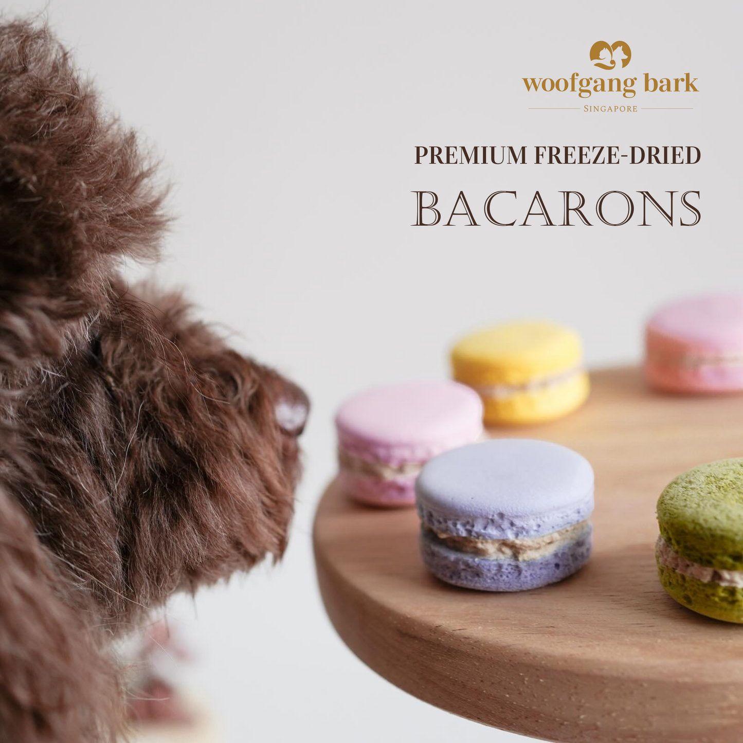 Woofgang Bark - Freeze Dried Bacarons (Set of 2)