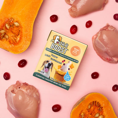 Fur Boost drink for dogs - Chicken, Butternut Squash and Cranberry 400ml (carton)