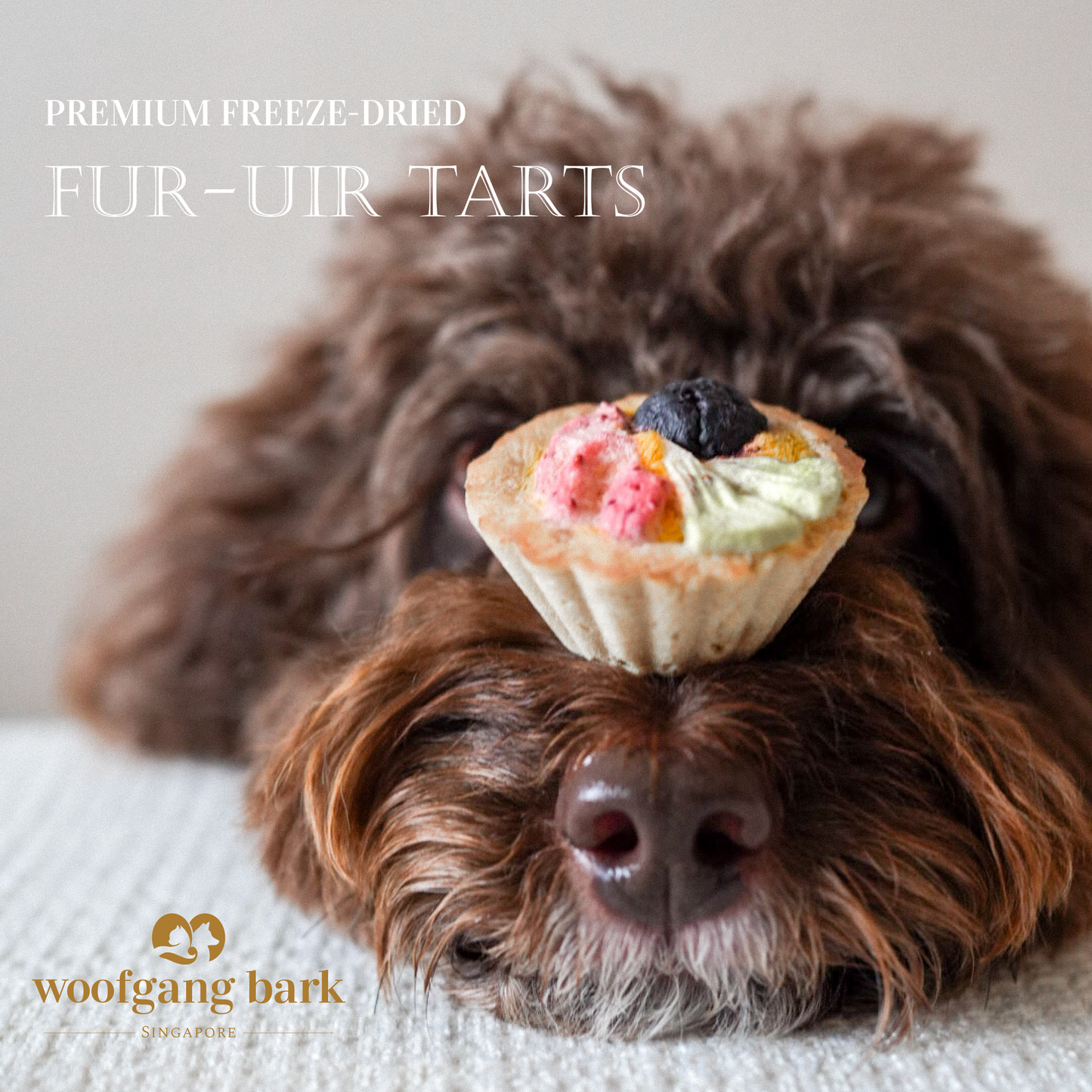 Woofgang Bark - Freeze Dried FUR-uit Tarts