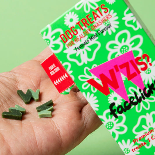 W'ZIS - 純素狗狗零食 口袋便利裝: 潔牙功能 (含薄荷)