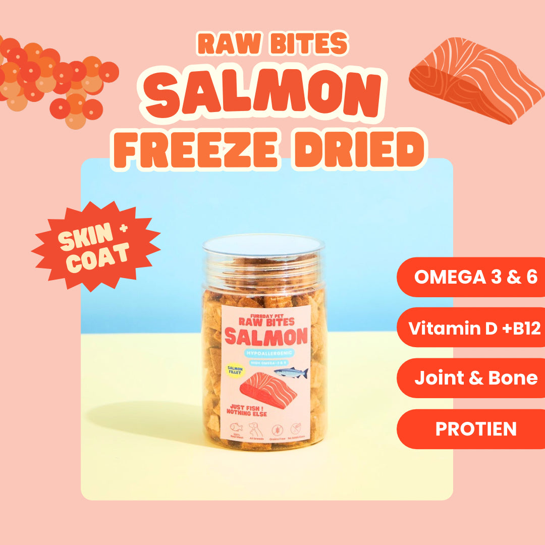 Furrday Pet - Freeze Dried Raw Bites: Salmon