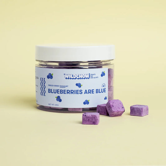 WildChow - Blueberries Are Blue