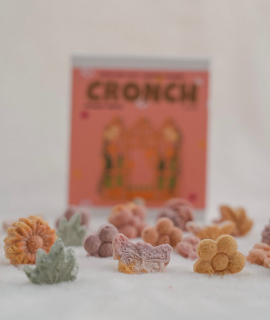 CRONCH by Licked. - 新加坡植物園花花蝴蝶主題凍乾零食