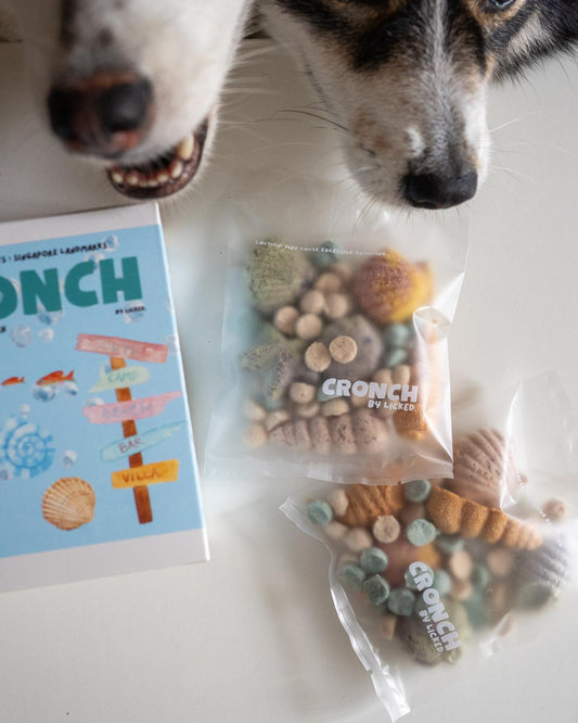 CRONCH by Licked. - 聖淘沙海灘主題 - 貝殼海星造形凍乾零食